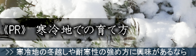 提携サイト：寒冷地での育て方