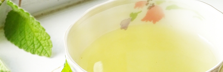 ハーブ図鑑